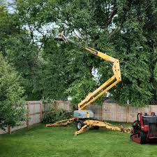  Lawrencevle, IL Tree Removal Pros